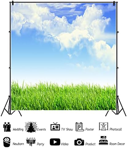 Pozadina fotografije proljetne livade od 7 do 5 stopa vrtlarstvo biljka livada nebo oblak svijetla točka Pozadina Sjeverne prerije