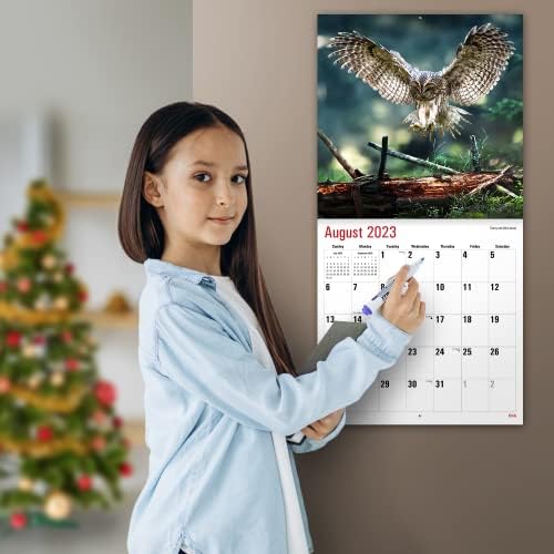 MICASA sove 2023 Hangable Mjesečni zidni kalendar | 12 x 24 Otvoreno | Debeli i čvrsti papir | Dariva | Mudri i divni