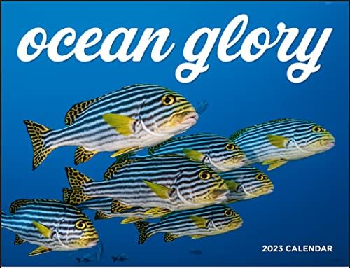 Ocean Glory 2023 Viseći zidni kalendar - 19 x 11 2023. mjesečni planer i organizator. Spektakularna fotografija morskog života, oceanskog