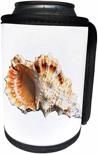 3Drose Boehm Graphics Ocean - Oceanska školjka zvana Muricidae - Can Cooler Wrap boca