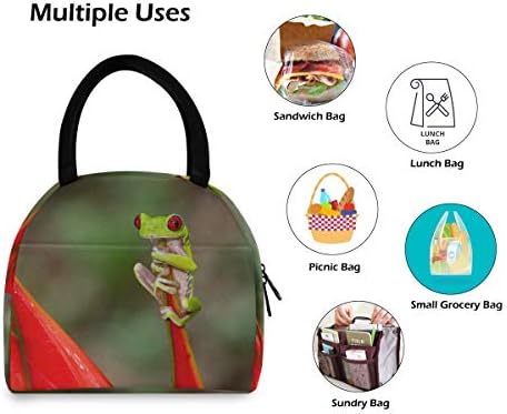 Drvena žaba s crvenim okom u prašumi džungla životinja izolirana torba za ručak s patentnim zatvaračem hladnjača za pripremu hrane
