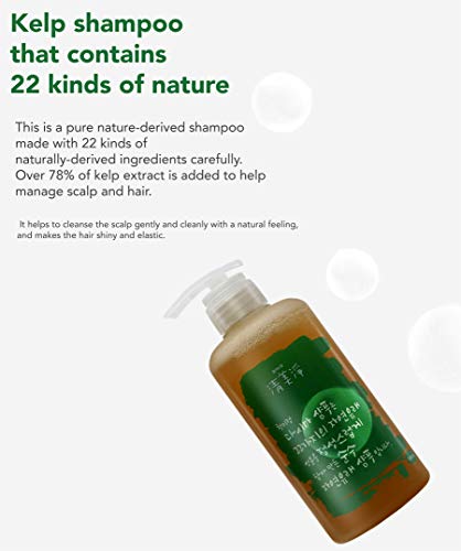 [Chungmijung] Kelp šampon s malim vlasištem šamponom 500 ml-organske 18 sastojaka iz prirode za osjetljivu kožu korejske kože, 16.91