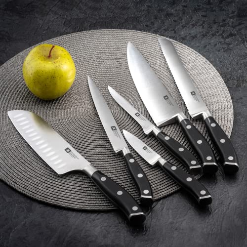 Richardson Sheffield FN179 Vulcano Professional Chef Nož 8 , Nehrđajući čelik, NSF odobreno