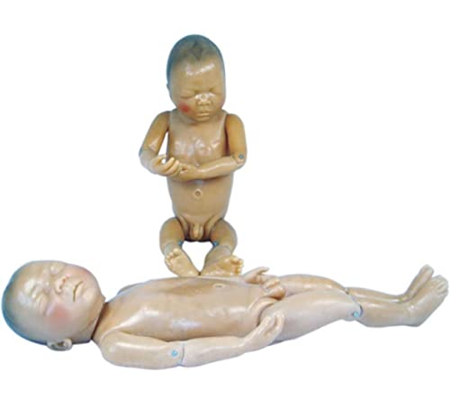 Model novorođenčeta, anatomski model čovjeka