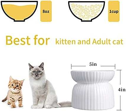 Zdjele za hranu za mačke, podignute zdjele za hranu i vodu, keramičke podignute zdjele za kućne mačke i male pse, set od 2 zdjele za