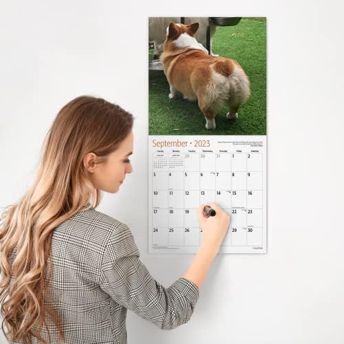 Crveni Ember Corgi Butts 2023 Hangable Mjesečni zidni kalendar | 12 x 24 Otvoreno | Debeli i čvrsti papir | Dariva | Smiješna šala