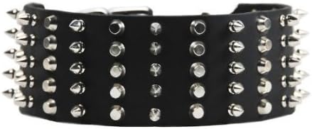 Dean & Tyler Leather Dog Collar Wide Heaven Black - 22 do 2 3/4 širina. Odgovarat će veličinu vrata 20 '' - 24 ''. Ima mješavinu šiljaka