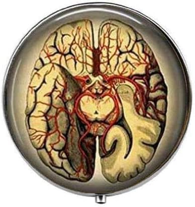 Anatomski mozak - Kutija s tabletama s znanstvenim umjetnošću - Kutija s šarma