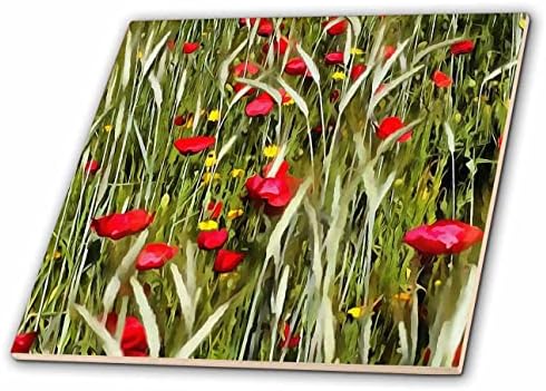 Slika 3-inčni Crveni Makovi na pšeničnom polju - pločica