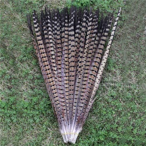 Prirodno perje fazanovog repa 25-80 cm 10-32 perje za rukotvorine vjenčani ukrasi _ dekor prirodni perjanica