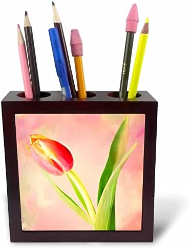 Tulipan 3-inčni kao foto umjetnost umjetničko slikarstvo-Držači za olovke-inčni