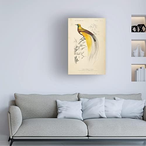 Zaštitni znak likovna umjetnost 'Oiseaux de paradis' platno umjetnost by Wild Apple Portfolio 16x24