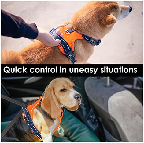 UPRTAČ za pse, reflektirajući podesivi prsluk za pse u jedinstvenim bojama, s podstavljenom ručkom za vježbanje i metalnim kopčama