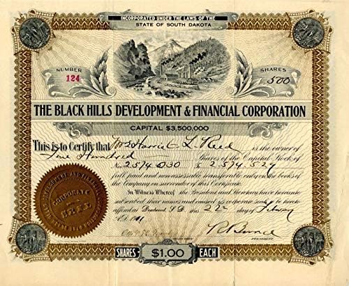 Razvojna i financijska korporacija Black Hills
