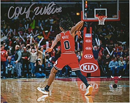 Coby White Chicago Bulls Autografirani 8 x 10 proslava nakon fotografije s 3 boda - Autografirane NBA fotografije
