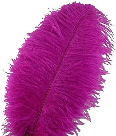 Veleprodaja 100-1000pcs pahuljasto nojevo perje30-35cm 2 kućni ukras za vjenčanje kupac karnevalski kostim večernje Zanatsko perje