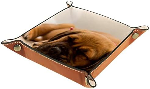 Kutije za odlaganje Tacameng Mali, Slatko pseće štene Sleep, kožni organ za odlaganje za stolnu površinu za novčanike Satovi ključevi