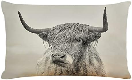 Ahloki seoska kuća krava jastuka pokriva 12x20 inča visoravni krava dekor jastučića dekor lumbalni jastuk jastuk jastuk za kauč kauč