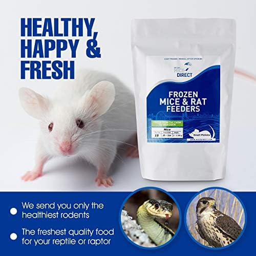 MiceDirect Frozen Combo Pack - 1 štakor veliki i 1 štakor Jumbo hrana za kukuruzne zmije, kuglični pitoni