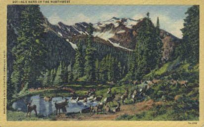 Razgledna razglednica u Washingtonu