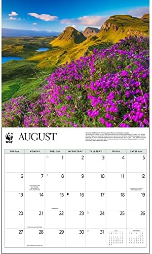 Kalendarska tinta, prekrasna mjesta WWF 2023 Zidni kalendar
